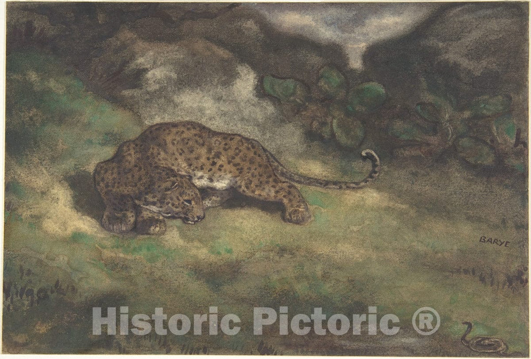 Art Print : Antoine-Louis Barye - Leopard and Serpent : Vintage Wall Art