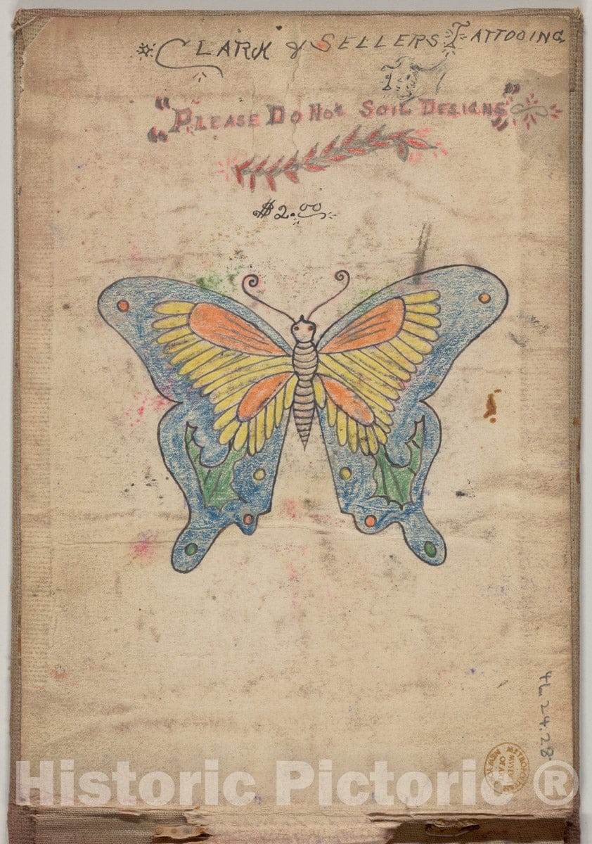 Art Print : Clark & Sellers - Tattoo Design for a Butterfly 1 : Vintage Wall Art