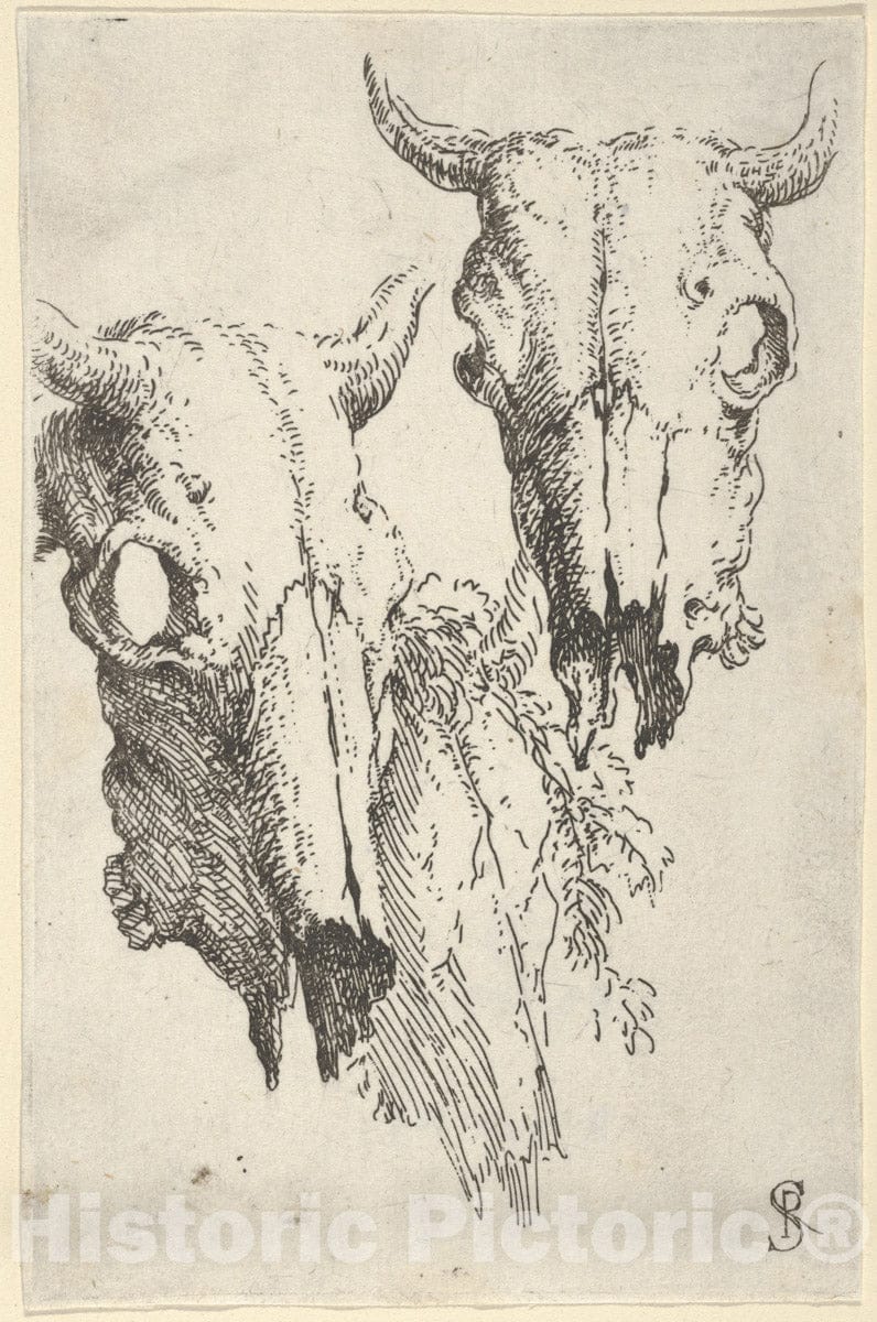 Art Print : Salvator Rosa - Two ox Skulls and a Portion of a Third, Study for Democritus in Meditation : Vintage Wall Art