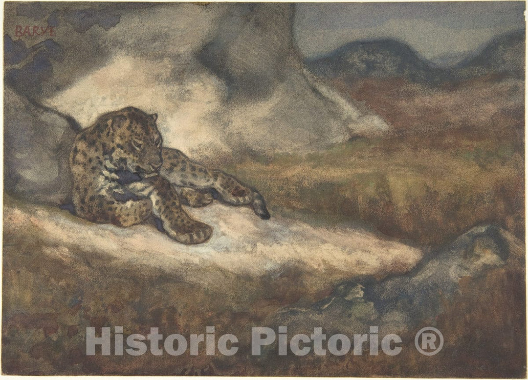 Art Print : Antoine-Louis Barye - Leopard Lying Down : Vintage Wall Art