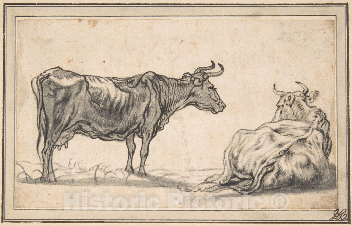 Art Print : Aelbert Cuyp - Study of Two Cows : Vintage Wall Art