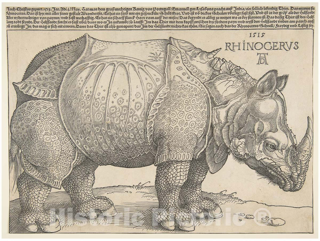 Art Print : Albrecht Dürer - The Rhinoceros 3 : Vintage Wall Art