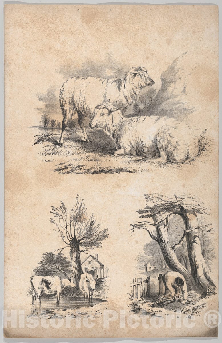 Art Print : Frances Flora Bond Palmer - Vignette with two sheep, Vignette with two cows in a pool, and Vignette of a wood-gatherer : Vintage Wall Art