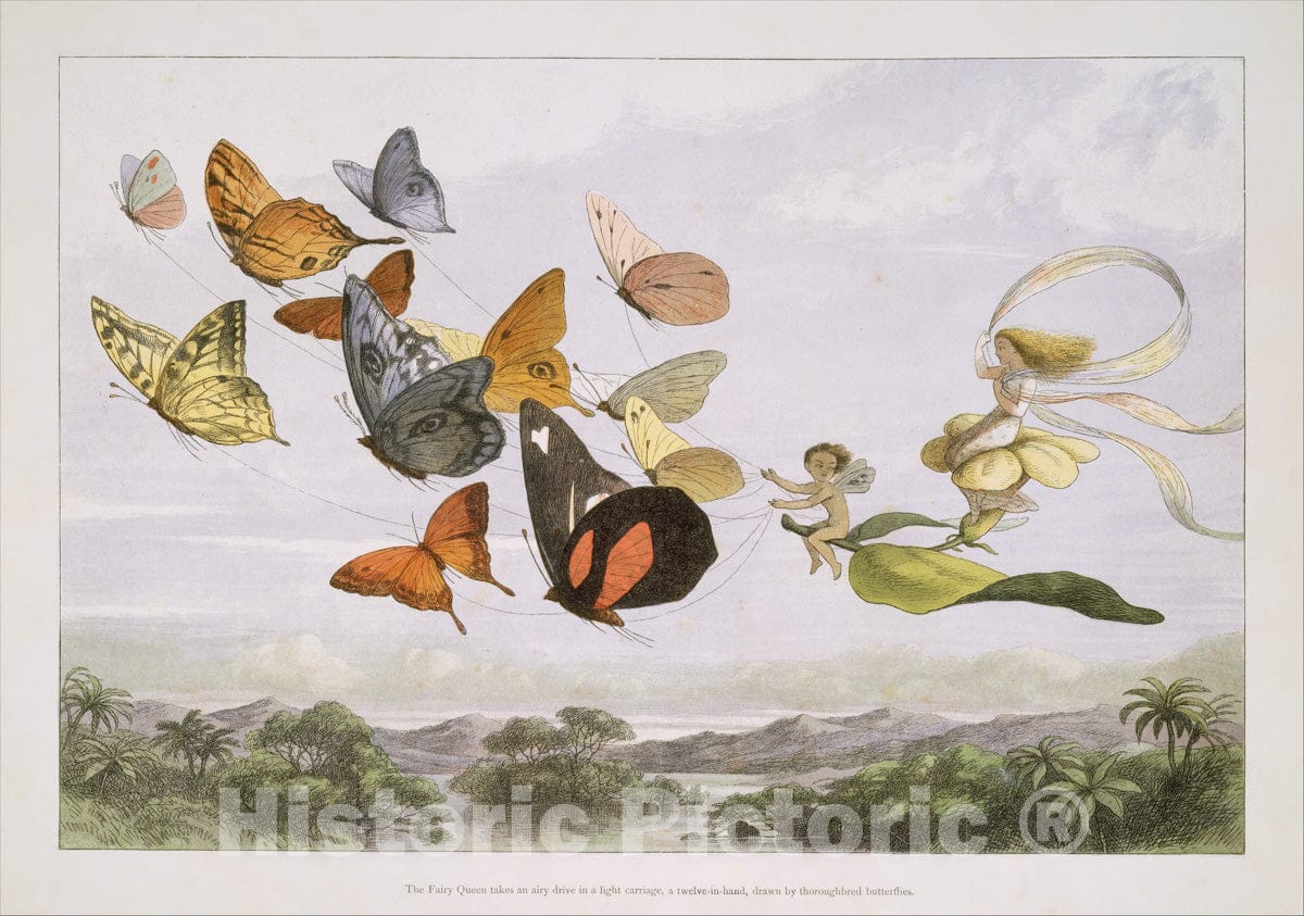 Art Print : Richard Doyle - The Fairy Queen Takes an Airy Drive in a Light Carriage, a Twelve-in-Hand, Drawn by Thoroughbred Butterflies : Vintage Wall Art