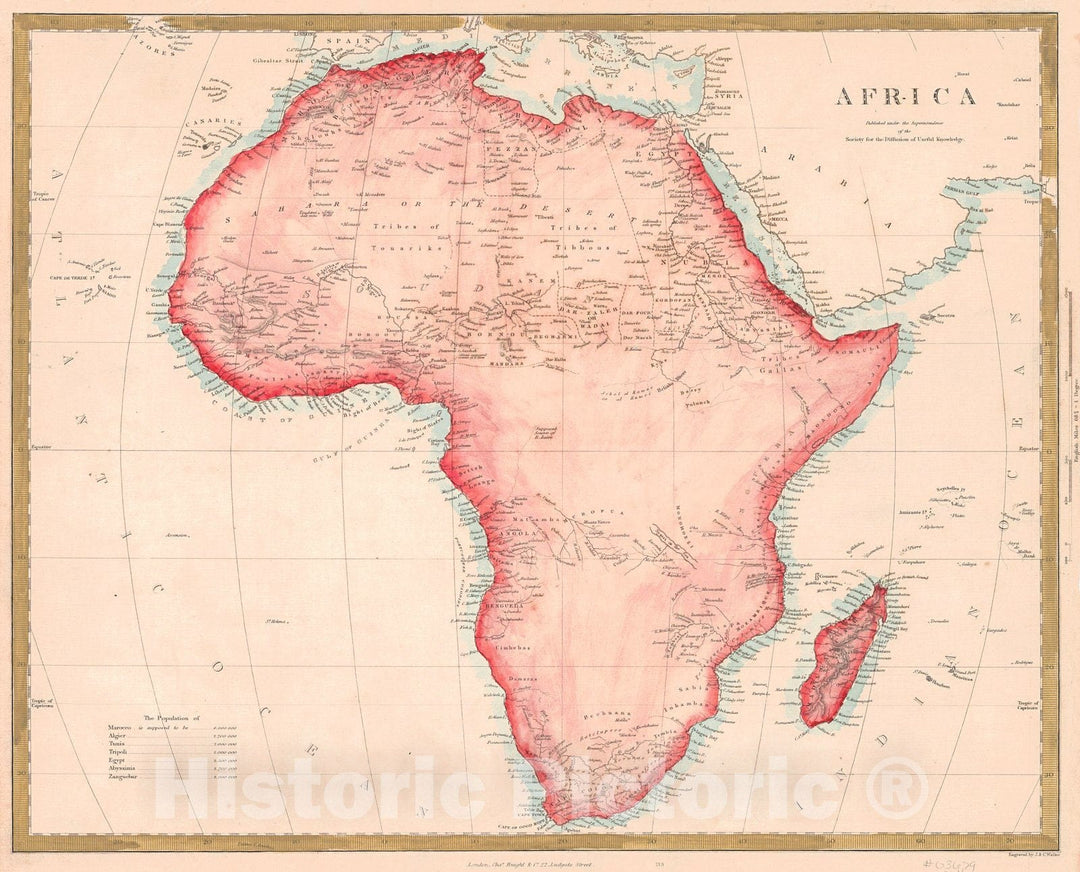 Historic Map : 1844 Africa : Vintage Wall Art