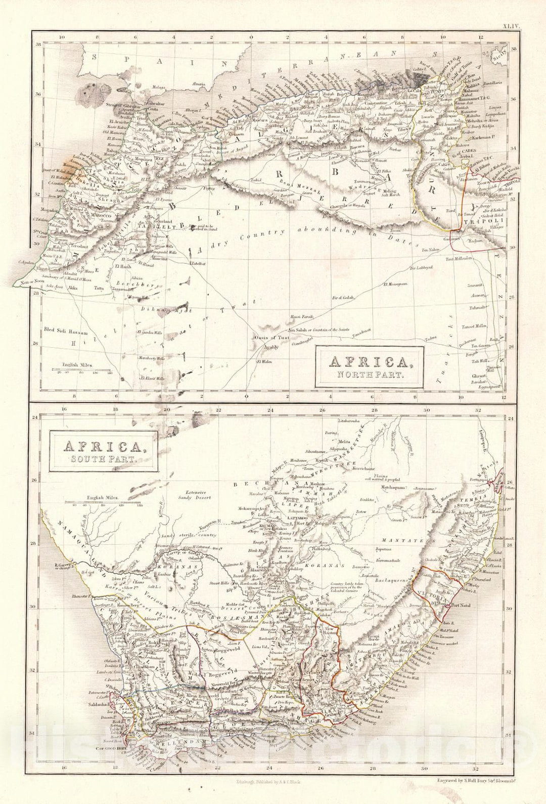 Historic Map : 1845 Africa, North Part & Africa, South Part : Vintage Wall Art