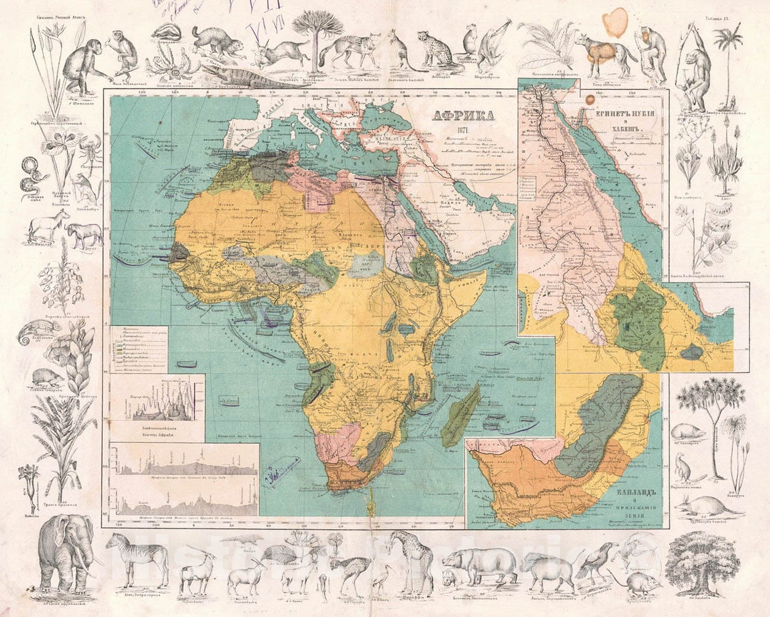 Historic Map : 1871 [Africa] : Vintage Wall Art