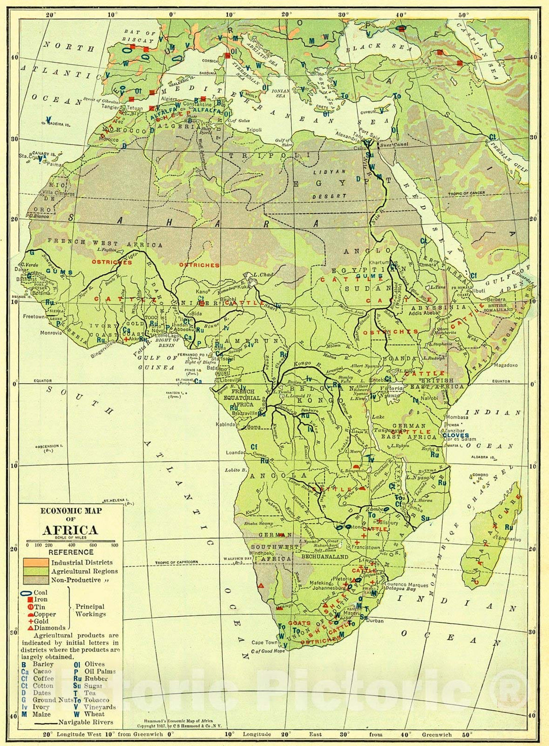 Historic Map : 1917 Economic Map of Africa : Vintage Wall Art