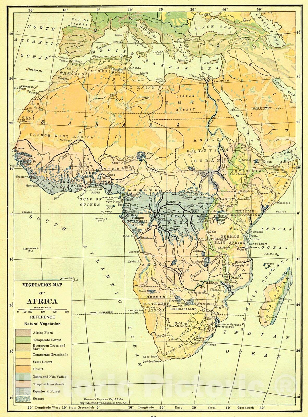 Historic Map : 1917 Vegetation Map of Africa : Vintage Wall Art