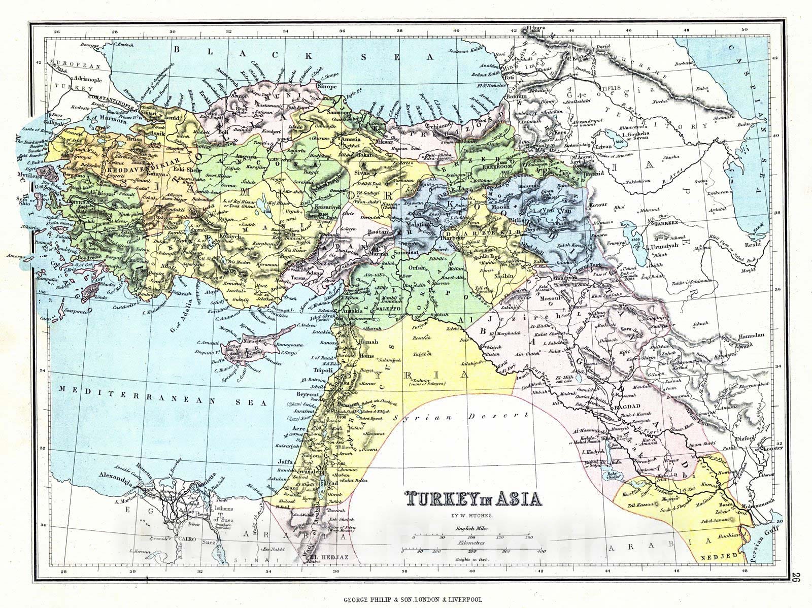 Historic Map : 1880 Turkey in Asia : Vintage Wall Art