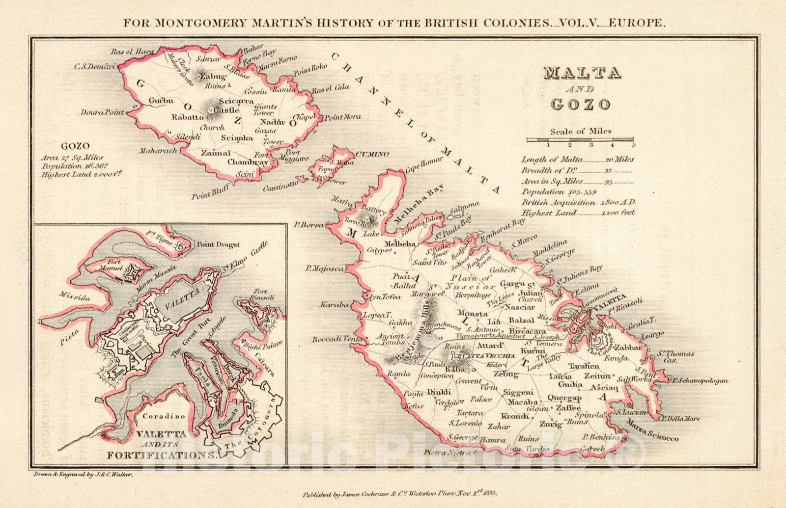 Historic Map : 1835 Malta and Gozo : Vintage Wall Art