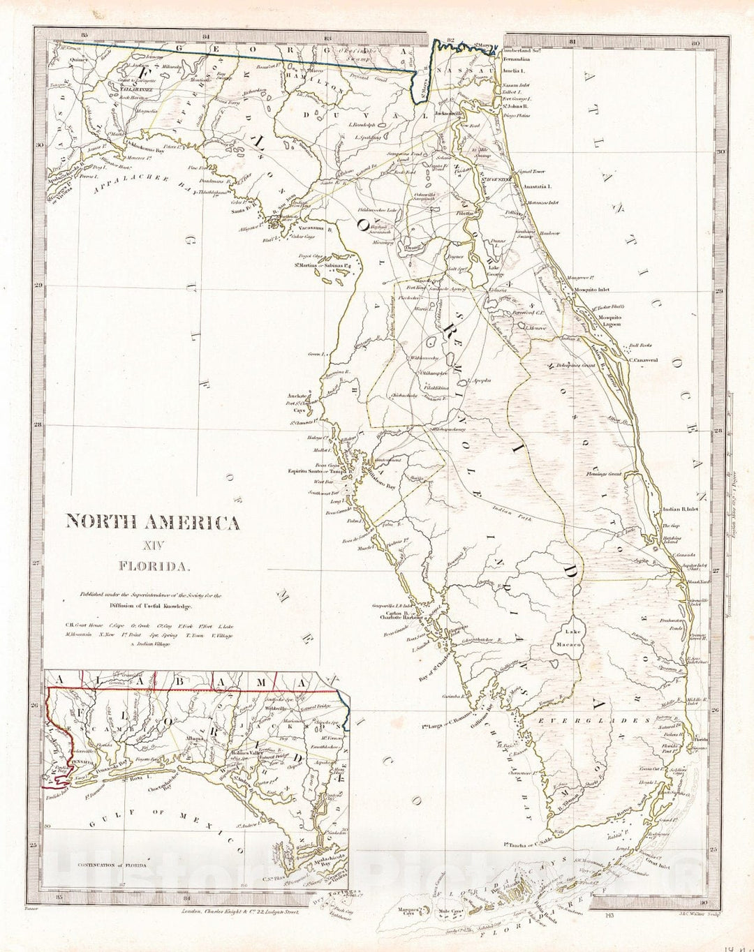 Historic Map : 1846 North America Sheet XIV Florida : Vintage Wall Art