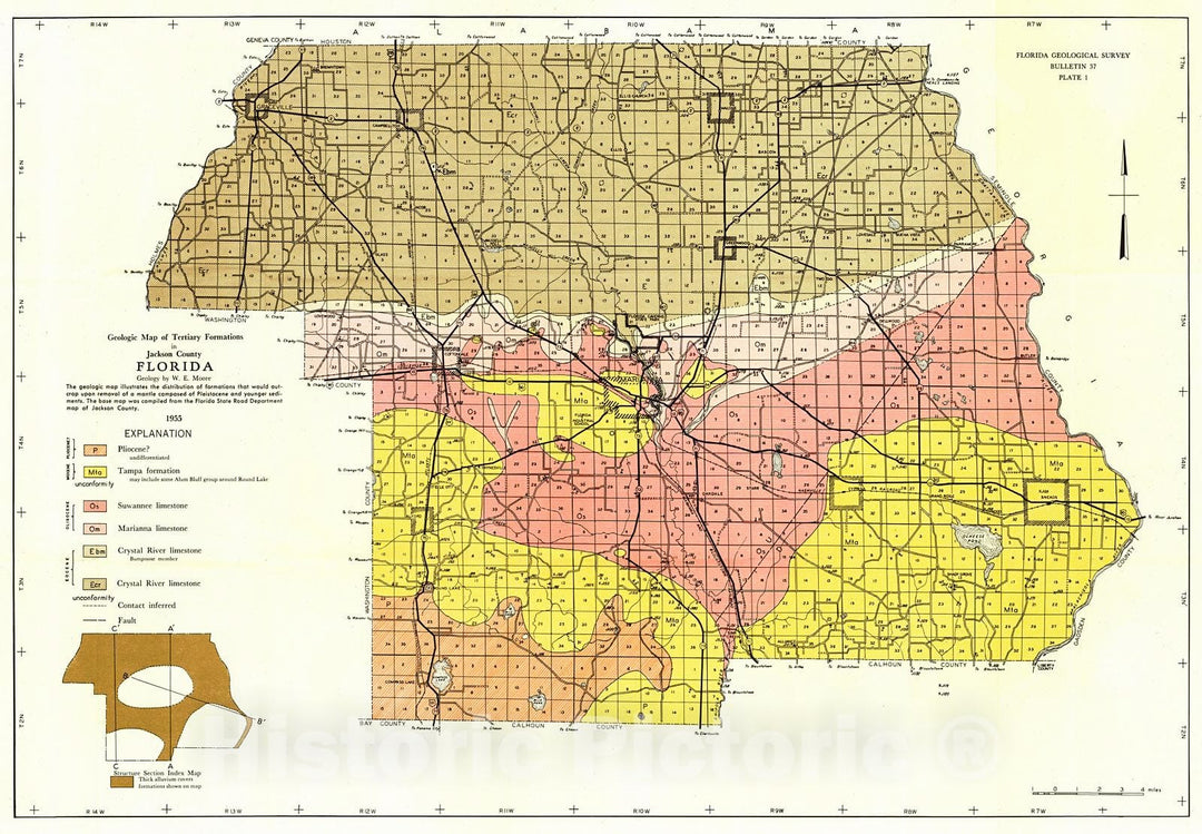 Historic Map : 1955 Geologic Map of Tertiary Formations in Jackson County, Florida : Vintage Wall Art