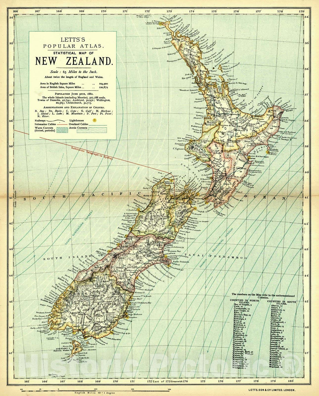 Historic Map : 1884 Statistical Map of New Zealand : Vintage Wall Art