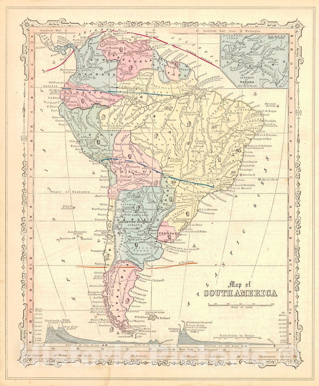 Historic Map : 1855 Map of South America : Vintage Wall Art