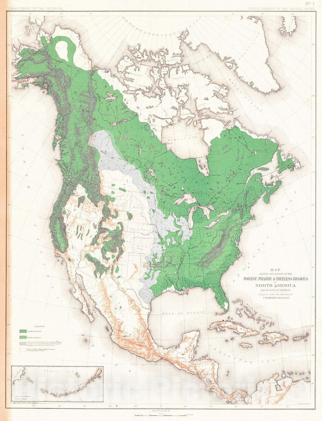 Historic Map : 1890 Report on Forest Types of North America (Plates 1-16) : Vintage Wall Art