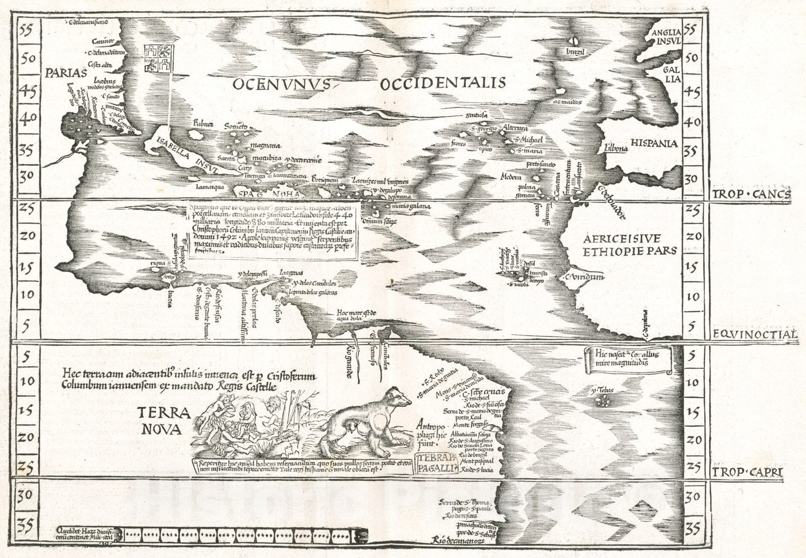 Historical Map, 1525 Oceani occidetalis seu Terre Nove Tabula, Vintage Wall Art