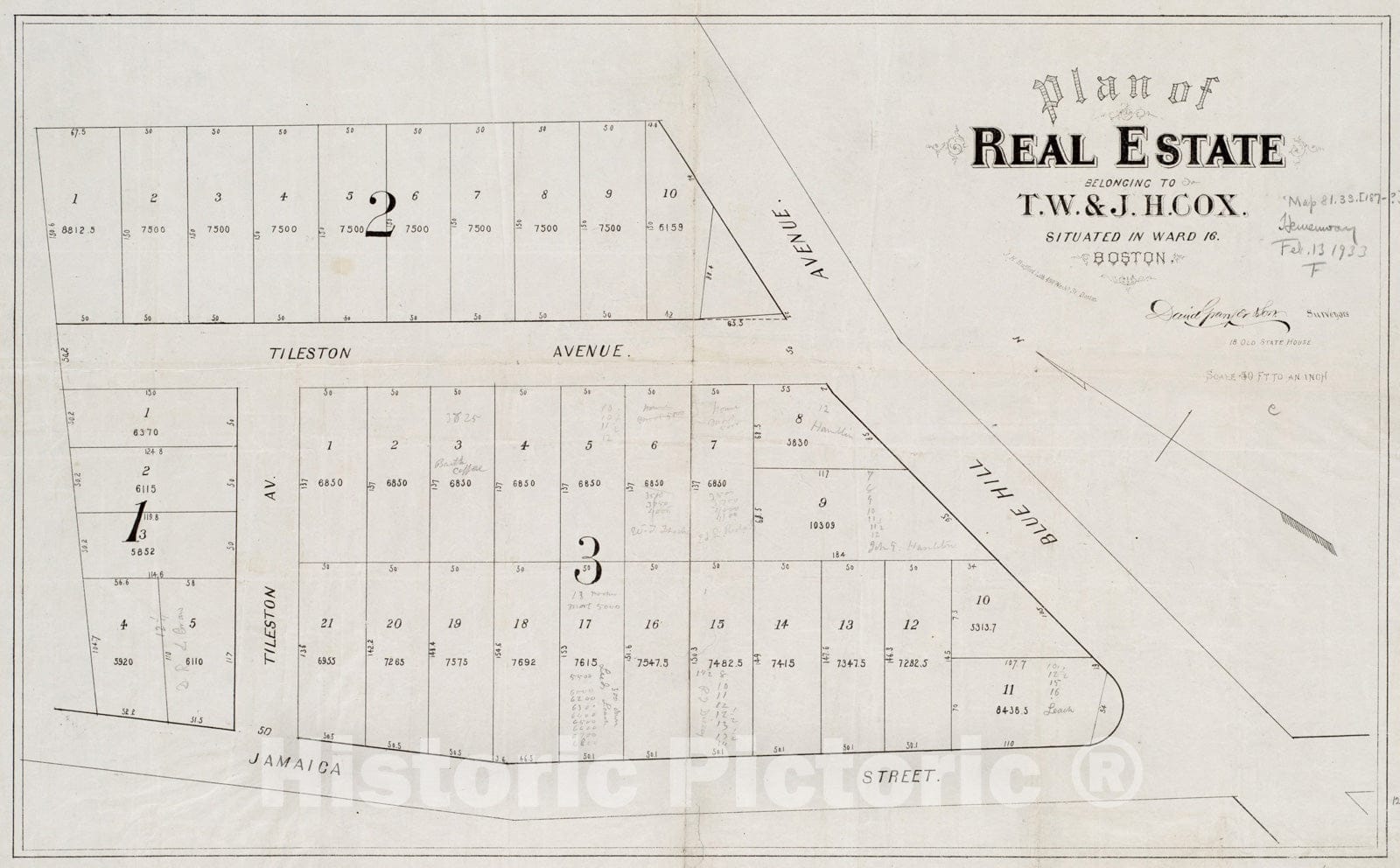 Historical Map, 1870-1880 Plan of Real Estate Belonging to T.W. & J.H. Cox : situated in Ward 16, Boston, Vintage Wall Art