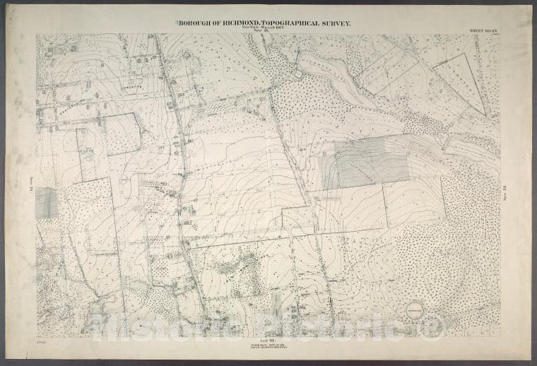 Historic Map - 1906 New York, N.Y. Richmond, Westerleigh Heights, Richmond Lake, Clove Lake, (Castleton Corners) Dongan, Manor, Drake, Utter And Potter - Vintage Wall Art