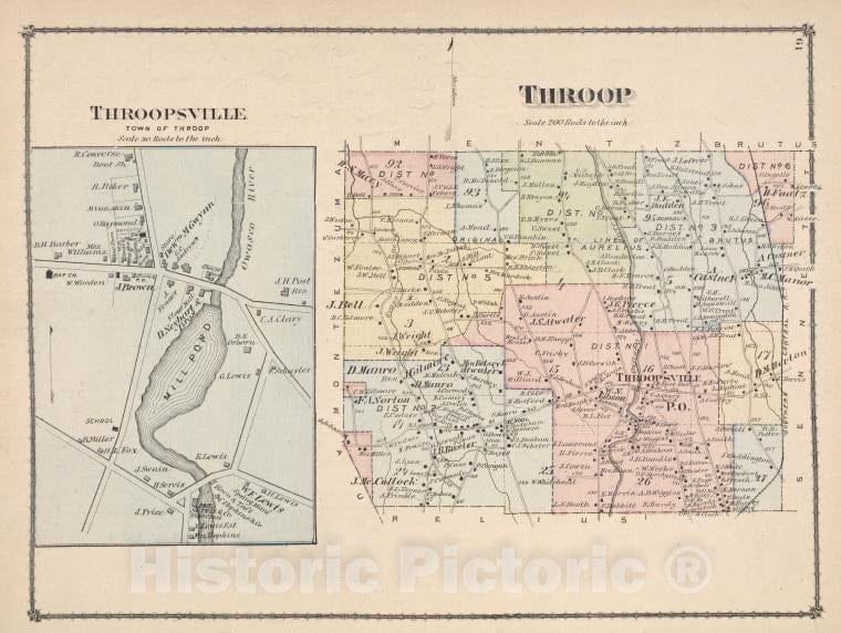 Historic Map - Throopsville [Village]; Throop [Township] - Atlases Of The United States - County Atlas Of Cayuga, New York. - Vintage Wall Art