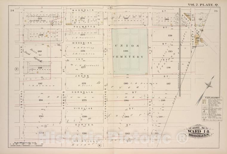 Historic Map - 1880 Brooklyn (New York, N.Y.),Magnolia St City Line, Weirfield St Central Ave; Palmetto St Woodbine St Ivy St Jacob St Cornelia St Vigelius - Vintage Wall Art