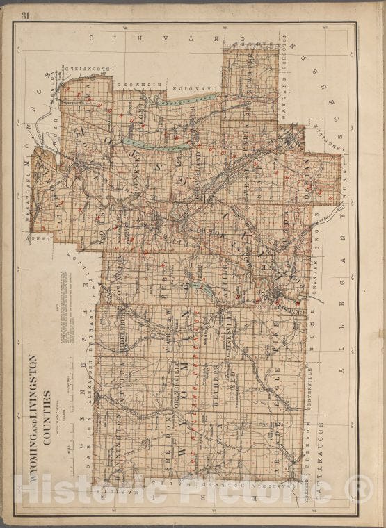 Historic Map - 1895 New York State, Plate No. 31 [Map Of Wyoming And Livingston Counties] - Vintage Wall Art