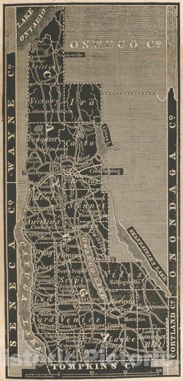 Historic 1838 Map - Cayuga County. - New York (State) - Cayuga County (N.Y.) - Atlases Of The United States - New York Atlas. - Vintage Wall Art