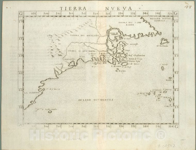 Historic 1561 Map - Tierra Nveva. - North America - Vintage Wall Art