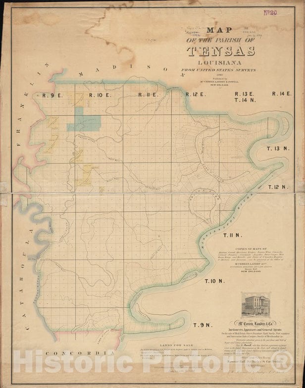Historical Map, 1860 Map of the Parish of Tensas, Louisiana : from United States Surveys, Vintage Wall Art