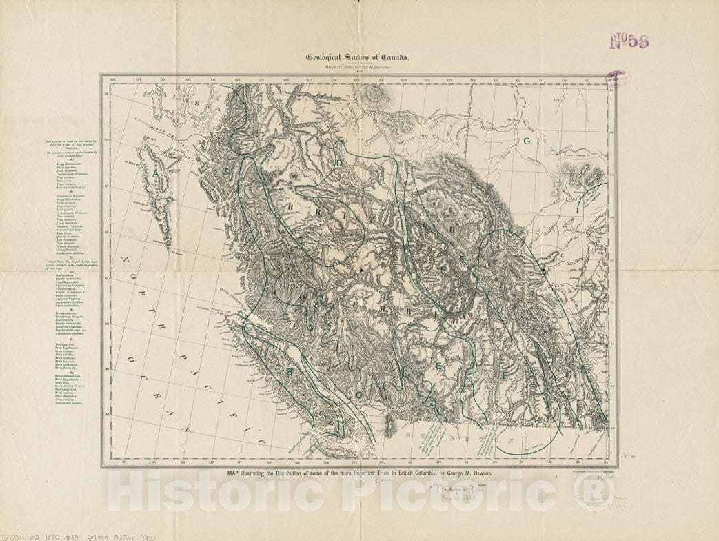 Historical Map, 1880 Map Illustrating The Distribution of Some of The More Important Trees in British Columbia, Vintage Wall Art