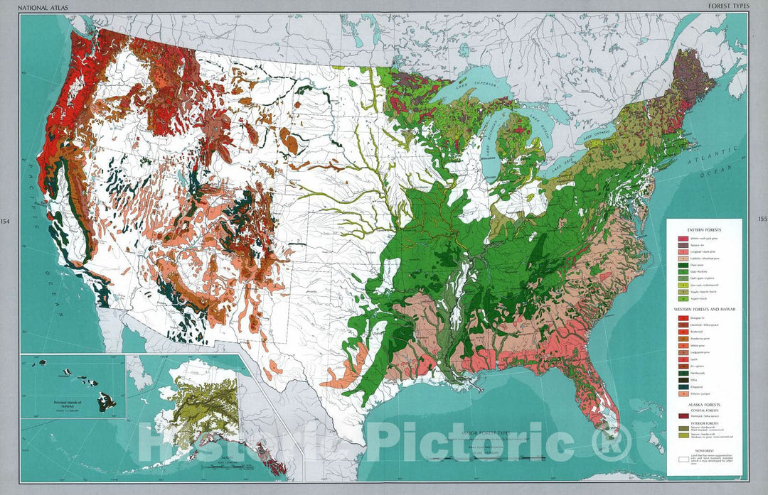 Historic 1970 Map - The National Atlas of The United States of America. - Forest Types