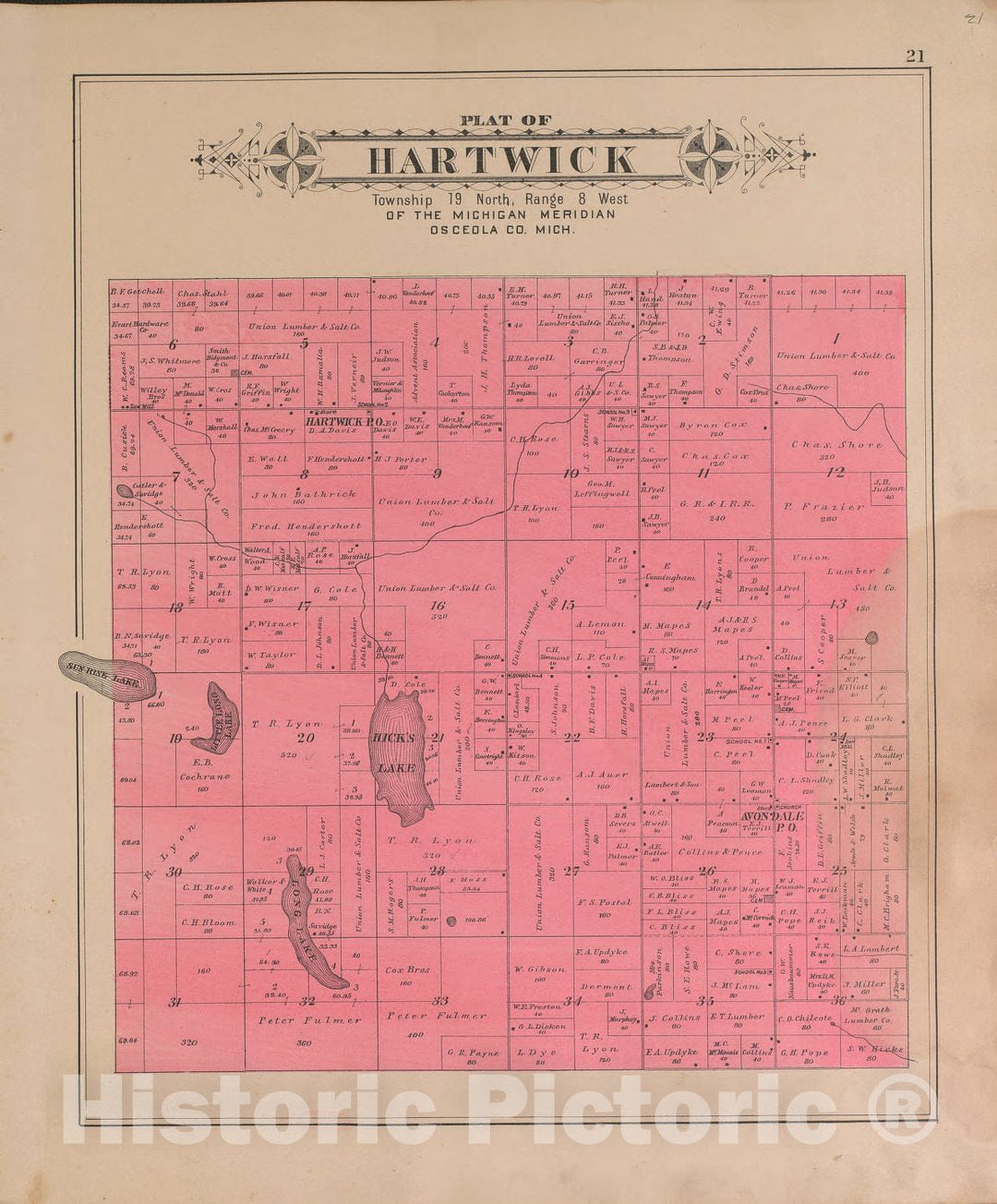 Historic 1900 Map - Plat Book of Osceola County, Michigan - Hartwick