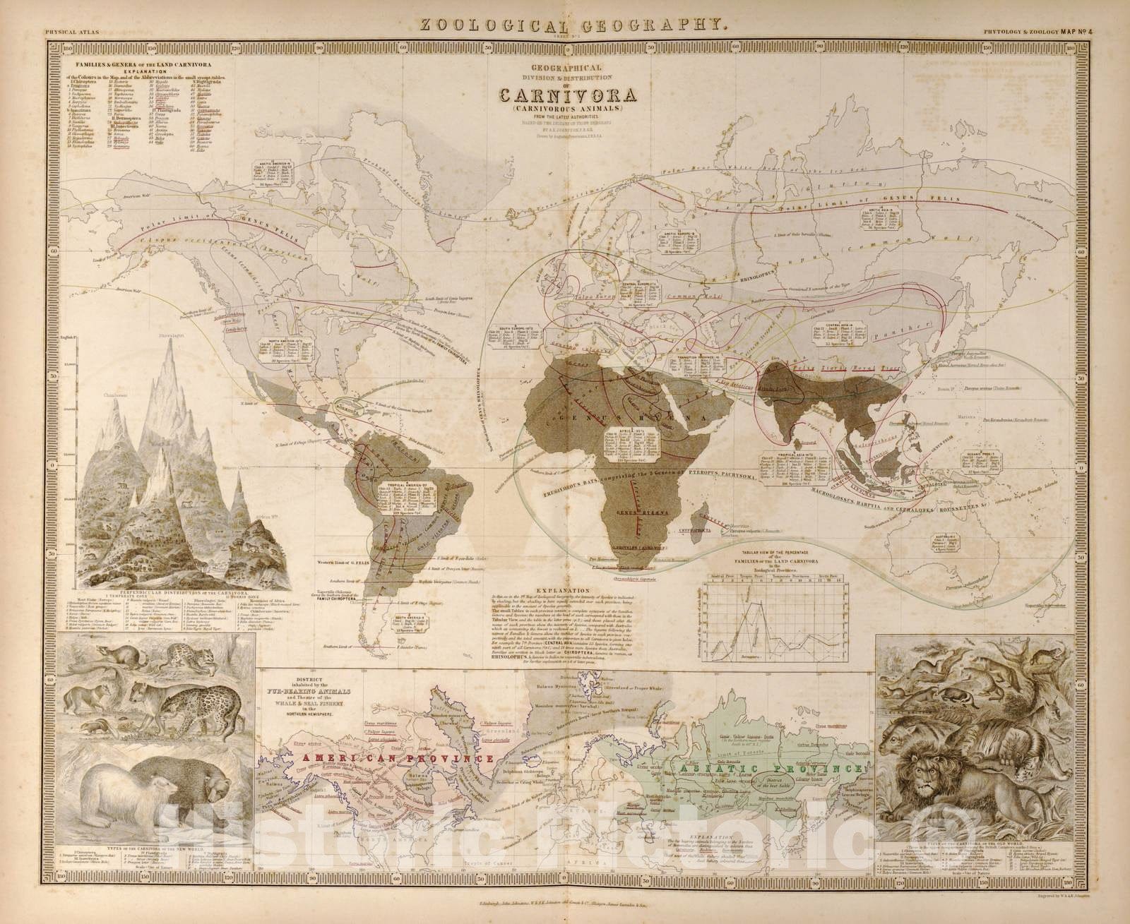 Historic 1848 Map - The Physical Atlas - Zoological Geography of Carnivorous Animals of The World, Sheet 2