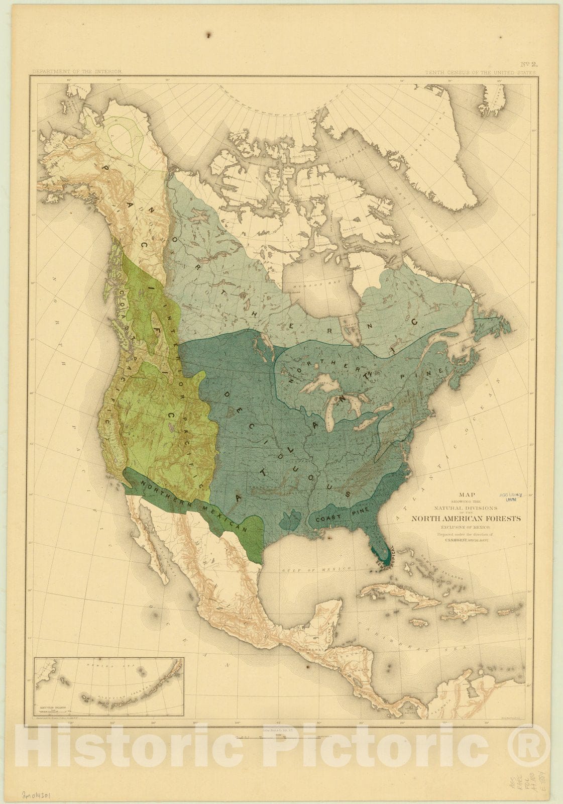 Map : North America Forest Trees 1884 6, Sixteen maps accompanying Report on forest trees of North America , Antique Vintage Reproduction