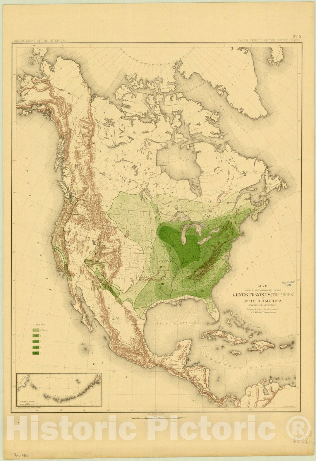 Map : North America Forest Trees 1884 7, Sixteen maps accompanying Report on forest trees of North America , Antique Vintage Reproduction