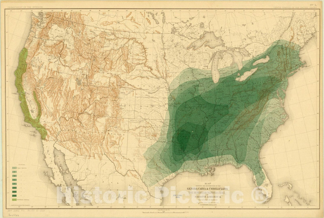 Map : North America Forest Trees 1884 8, Sixteen maps accompanying Report on forest trees of North America , Antique Vintage Reproduction