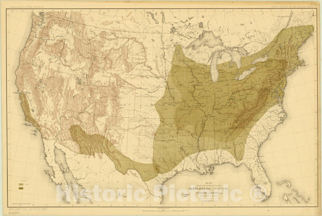 Map : North America Forest Trees 1884 9, Sixteen maps accompanying Report on forest trees of North America , Antique Vintage Reproduction