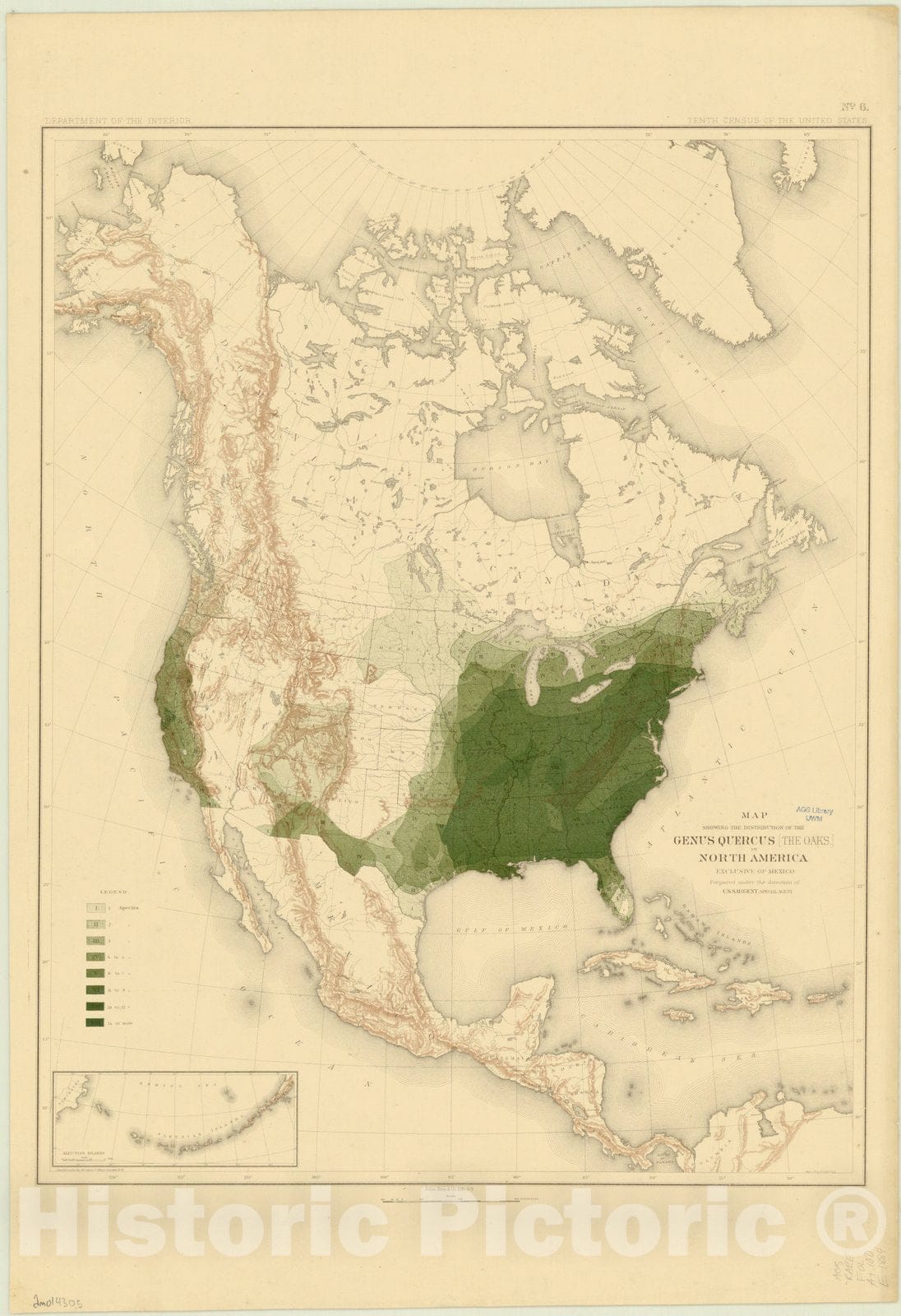 Map : North America Forest Trees 1884 10, Sixteen maps accompanying Report on forest trees of North America , Antique Vintage Reproduction