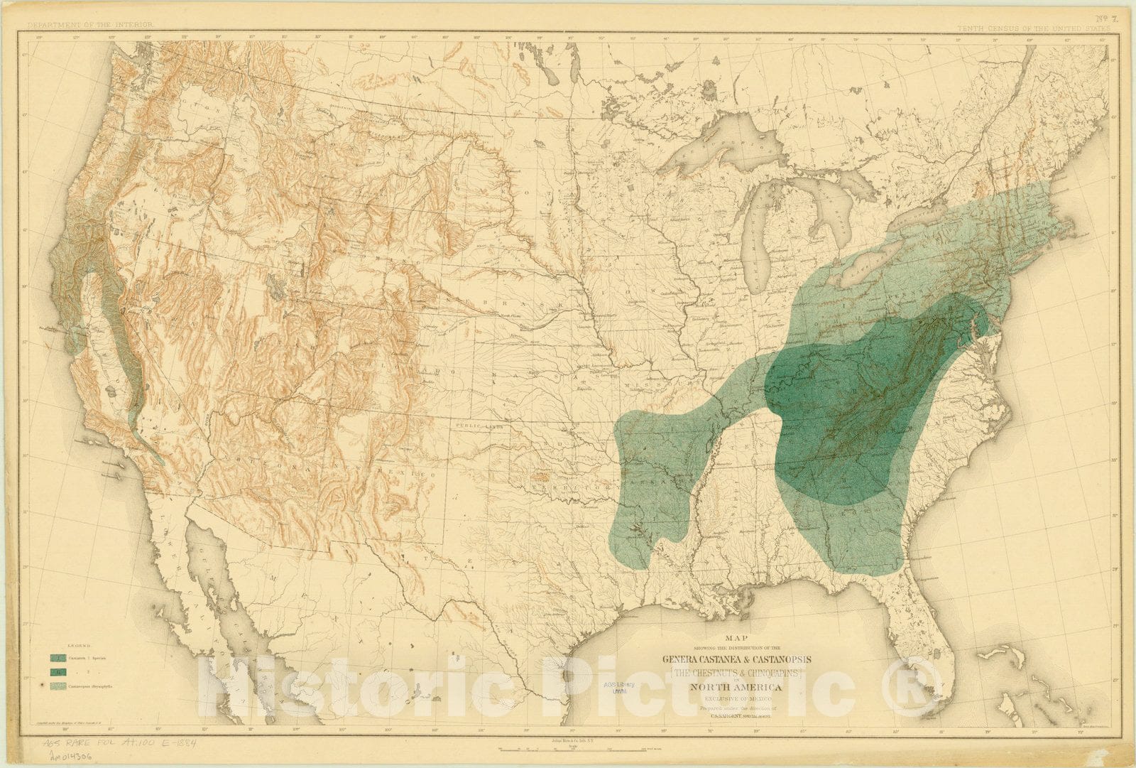 Map : North America Forest Trees 1884 11, Sixteen maps accompanying Report on forest trees of North America , Antique Vintage Reproduction