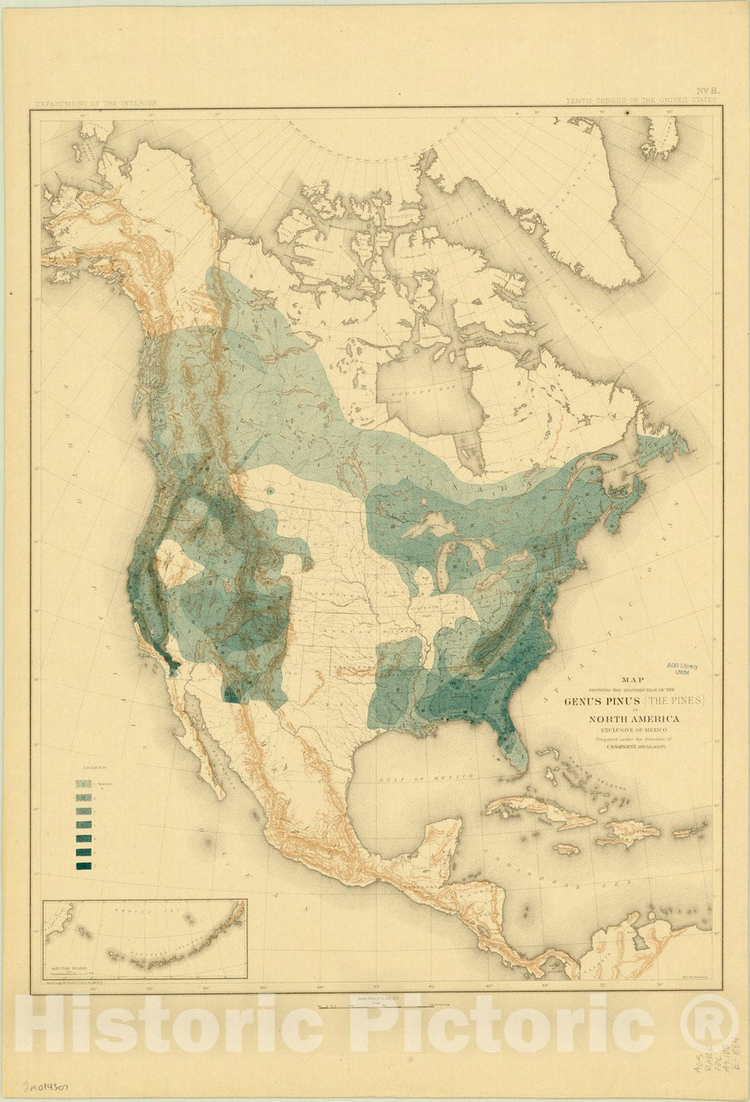 Map : North America Forest Trees 1884 12, Sixteen maps accompanying Report on forest trees of North America , Antique Vintage Reproduction