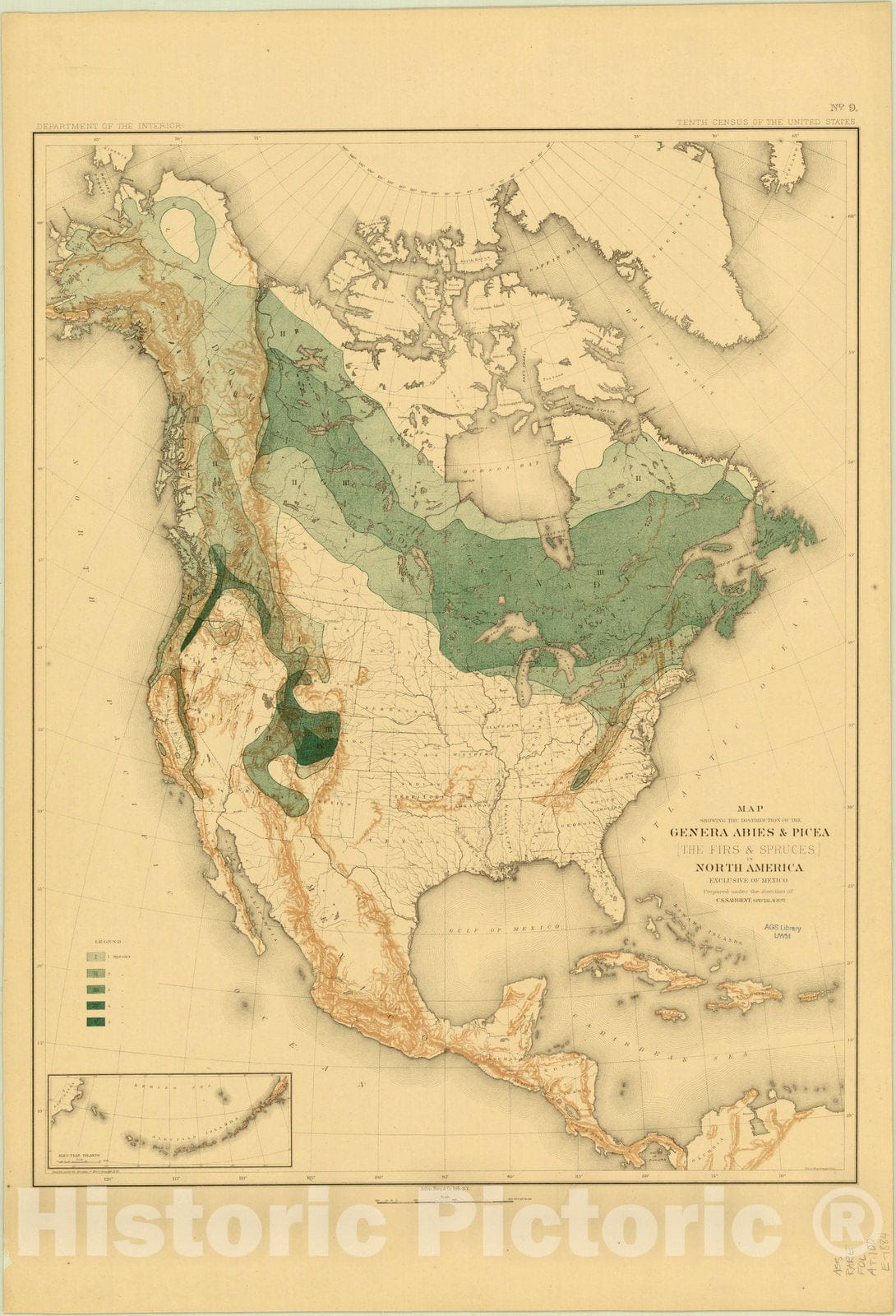 Map : North America Forest Trees 1884 14, Sixteen maps accompanying Report on forest trees of North America , Antique Vintage Reproduction