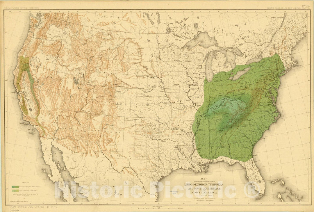 Map : North America Forest Trees 1884 15, Sixteen maps accompanying Report on forest trees of North America , Antique Vintage Reproduction