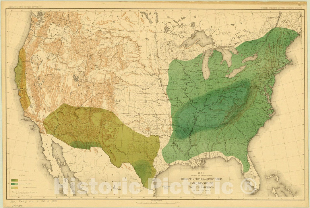 Map : North America Forest Trees 1884 13, Sixteen maps accompanying Report on forest trees of North America , Antique Vintage Reproduction