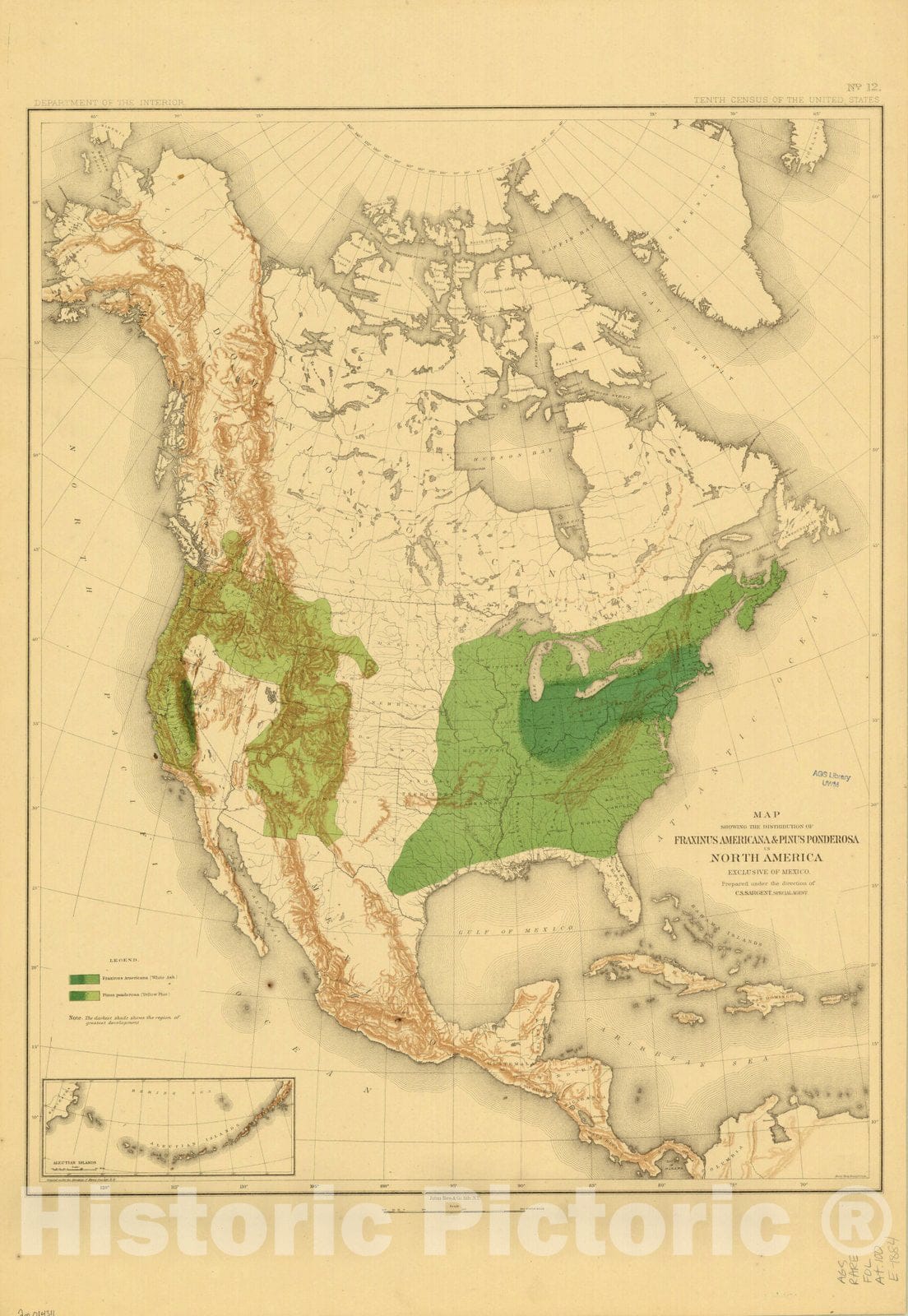 Map : North America Forest Trees 1884 2, Sixteen maps accompanying Report on forest trees of North America , Antique Vintage Reproduction