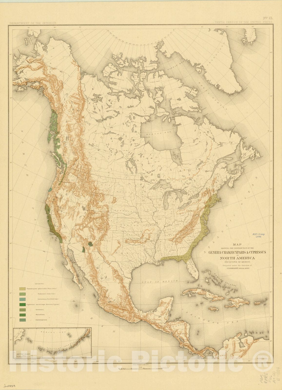 Map : North America Forest Trees 1884 16, Sixteen maps accompanying Report on forest trees of North America , Antique Vintage Reproduction