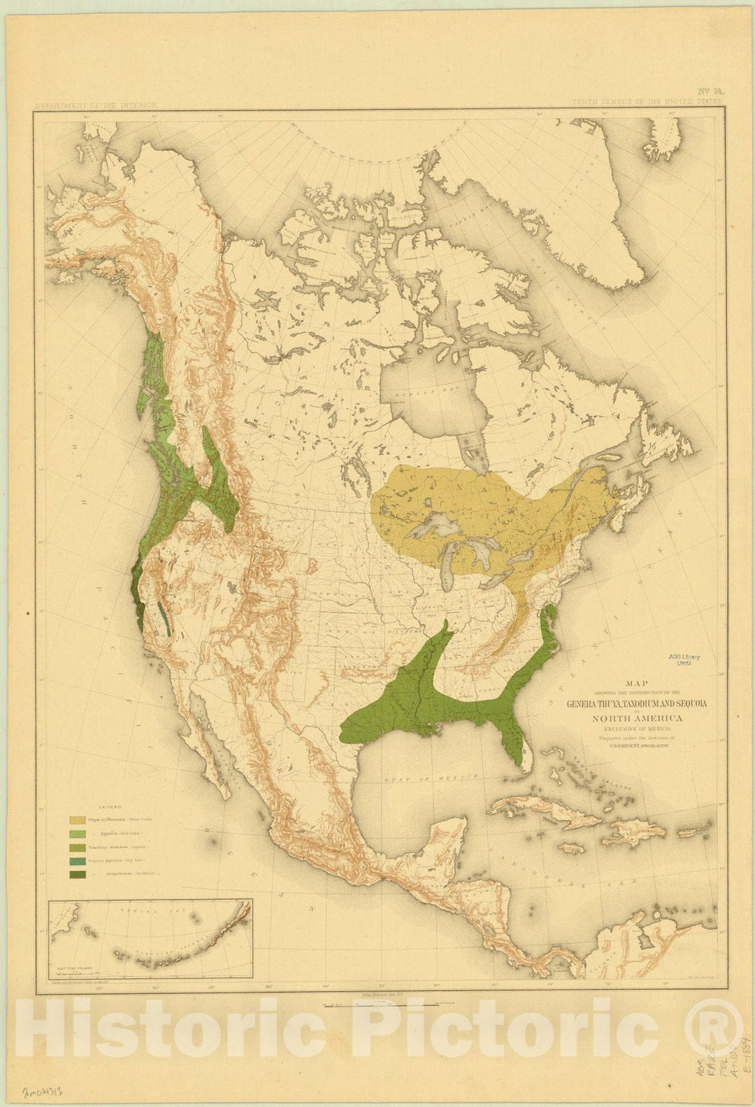 Map : North America Forest Trees 1884 3, Sixteen maps accompanying Report on forest trees of North America , Antique Vintage Reproduction