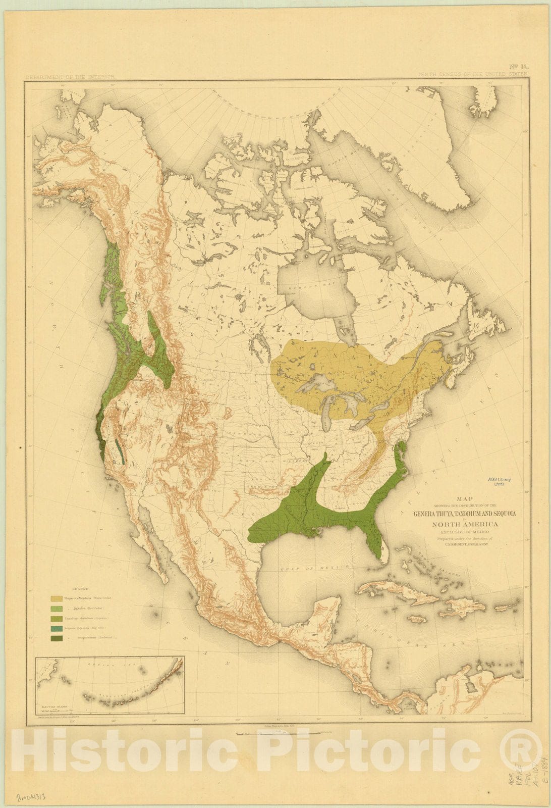 Map : North America Forest Trees 1884 3, Sixteen maps accompanying Report on forest trees of North America , Antique Vintage Reproduction