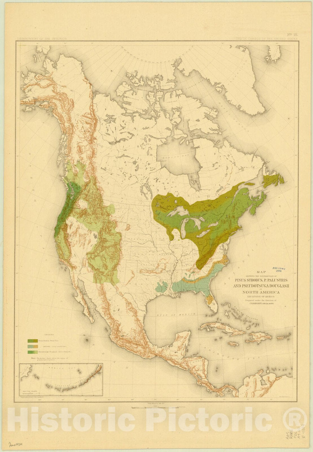 Map : North America Forest Trees 1884 4, Sixteen maps accompanying Report on forest trees of North America , Antique Vintage Reproduction