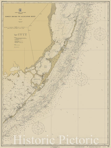 Map : Fowey Rocks to Alligator Reef, Florida 1921, United States - East Coast, Florida : Fowey Rocks to Alligator Reef , Antique Vintage Reproduction