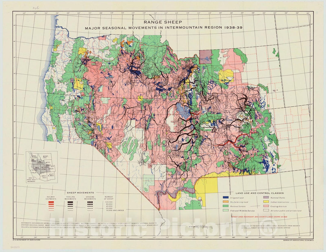 Map : United States, western 1939 1, Range sheep, major seasonal movements in Intermountain Region, 1938-39 , Antique Vintage Reproduction